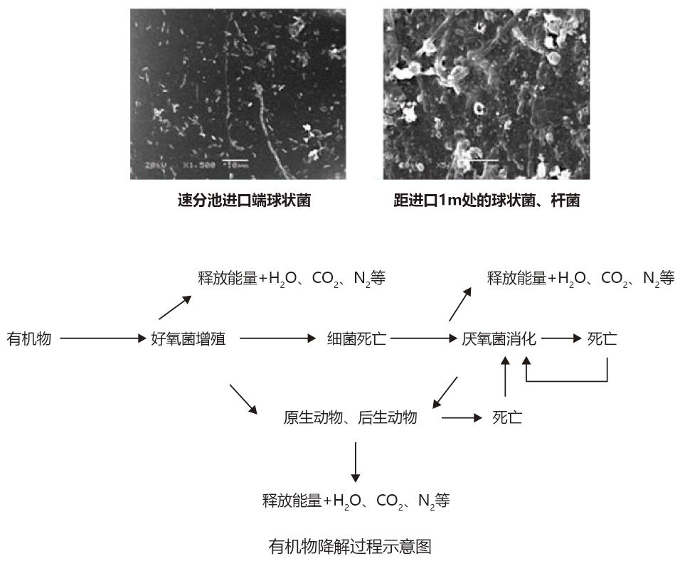 SYS水力速分生化污水处理设备 SYS水力速分生化污水处理设备