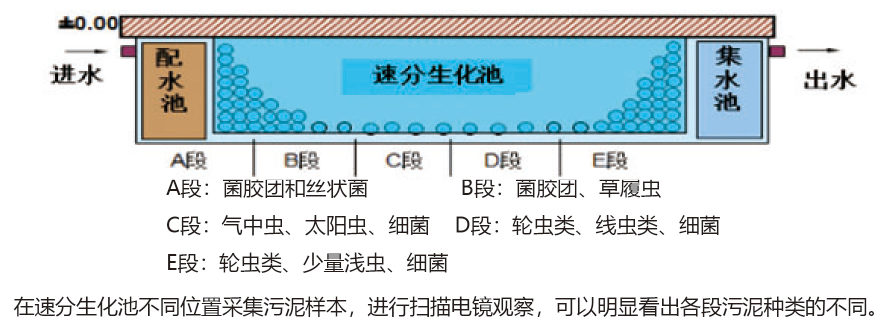 SYS水力速分生化污水处理设备 SYS水力速分生化污水处理设备